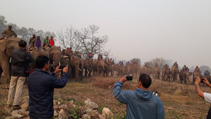 मकवानपुरको प्रतापपुरबाट गैंडा गणना सुरु